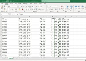 Investor Lead Format in Excel